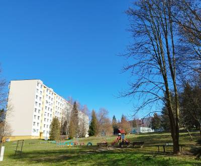 Sale One bedroom apartment, One bedroom apartment, A.Hlinku, Zvolen, S