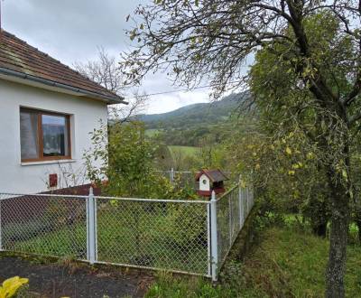 Sale Family house, Family house, Trenčín, Slovakia