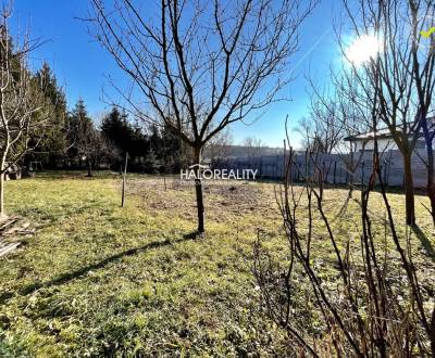 Sale Land – for living, Levice, Slovakia