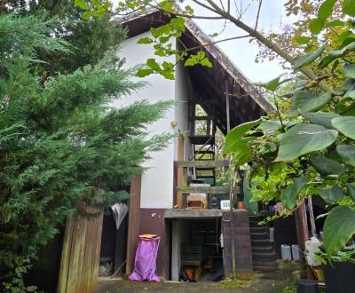 Sale Cottage, Cottage, Púchov, Slovakia