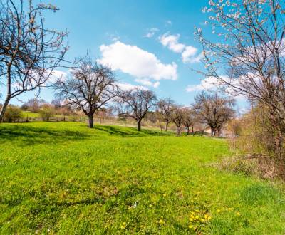 Sale Land – for living, Land – for living, Kvašov, Púchov, Slovakia