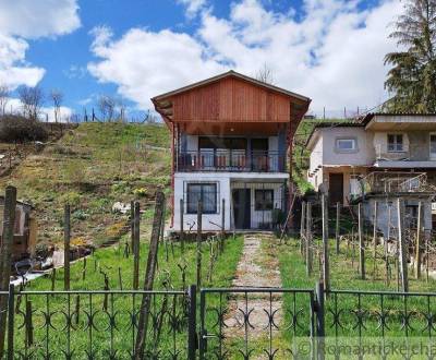 Sale Cottage, Cottage, Levice, Slovakia