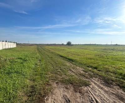 Sale Land – for living, Land – for living, Komárno, Slovakia