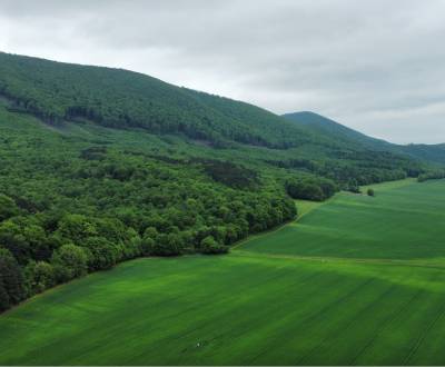 Sale Agrarian and forest land, Agrarian and forest land, Trnava, Slova