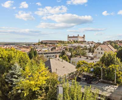 BA I - Rent a large 3-room apartment with a terrace and a view 