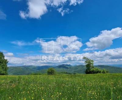 Sale Recreational land, Trenčín, Slovakia