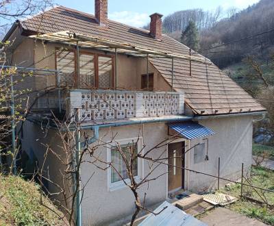 Sale Family house, Family house, Žarnovica, Slovakia