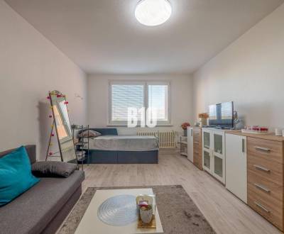 Rent Studio, Studio, Korytnická, Bratislava - Podunajské Biskupice, Sl