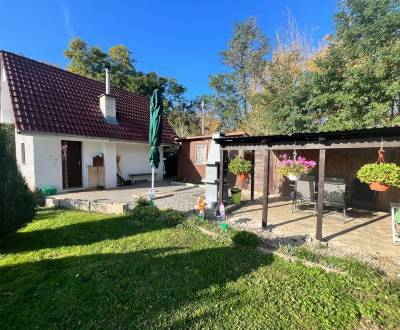 Sale Cottage, Cottage, Topoľčany, Slovakia