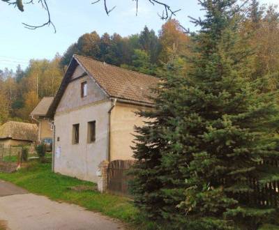 Sale Family house, Family house, Detva, Slovakia