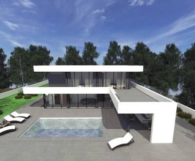 LUXURY VILLA WITH SWIMMING POOL, IN HEART OF NATURE, ZADAR - ZEMUNIK