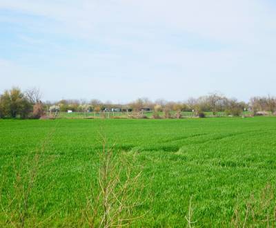 Sale Land plots - commercial, Land plots - commercial, Zavarská, Trnav