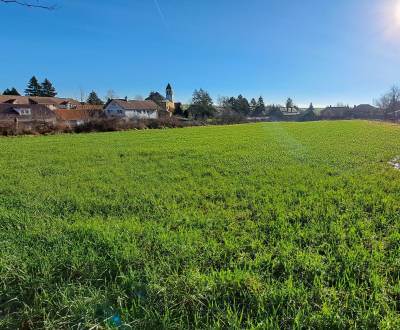 Sale Land – for living, Land – for living, Gondovo, Levice, Slovakia