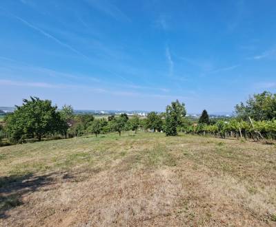 Sale Recreational land, Recreational land, Po Šiklóšom, Levice, Slovak