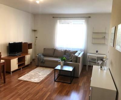 Rent One bedroom apartment, One bedroom apartment, Šustekova, Bratisla