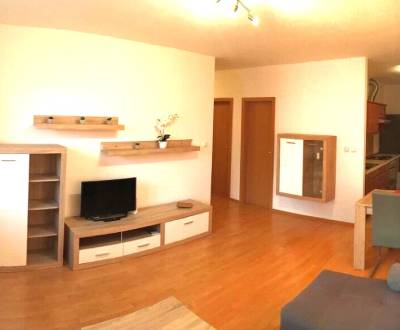 Rent One bedroom apartment, One bedroom apartment, Zadunajská, Bratisl