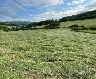 Sale Agrarian and forest land, Agrarian and forest land, Prešov, Slova