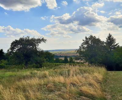 Sale Recreational land, Recreational land, Horné Jabloňovce, Levice, S