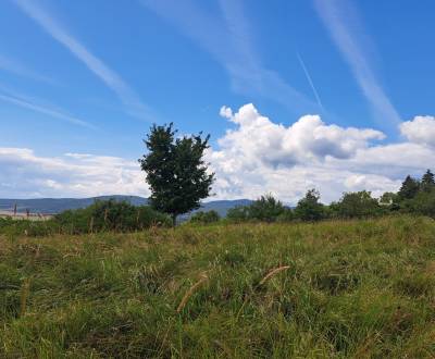 Sale Recreational land, Recreational land, Horné Jabloňovce, Levice, S