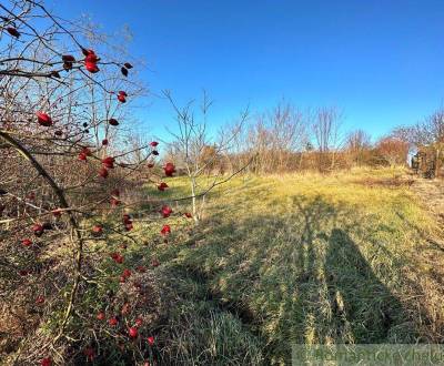 Sale Land – for living, Land – for living, Nové Zámky, Slovakia