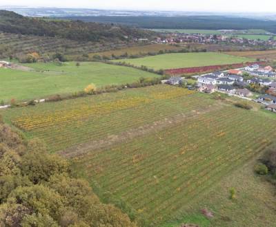 Sale Agrarian and forest land, Agrarian and forest land, Novosadská, P