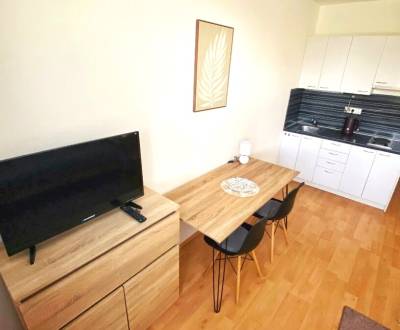 Rent Single studio, Single studio, Betliarska, Bratislava - Petržalka,