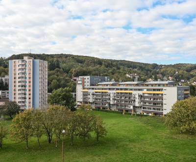 Sale Studio, Studio, Pod záhradami, Bratislava - Dúbravka, Slovakia