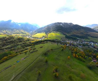 Sale Agrarian and forest land, Agrarian and forest land, Žilina, Slova