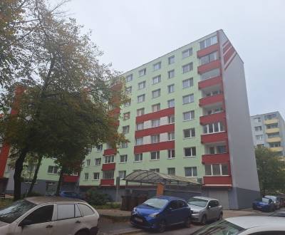 Sale One bedroom apartment, One bedroom apartment, Karola Adlera, Brat