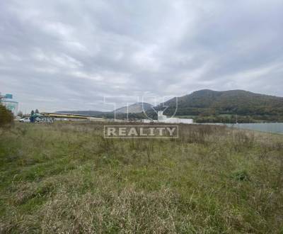 Sale Agrarian and forest land, Ilava, Slovakia