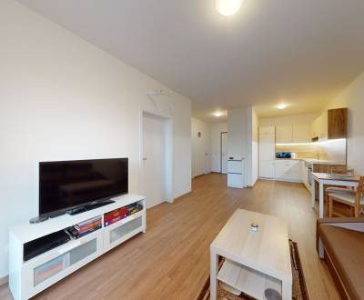 Sale One bedroom apartment, One bedroom apartment, Lužná, Bratislava -