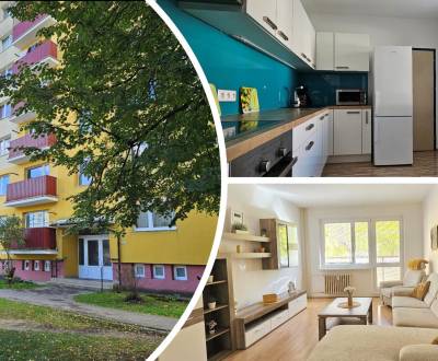 Rent Three bedroom apartment, Three bedroom apartment, Polomská, Žilin