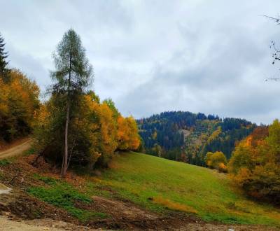 Sale Recreational land, Recreational land, Veľké Rovné, Bytča, Slovaki