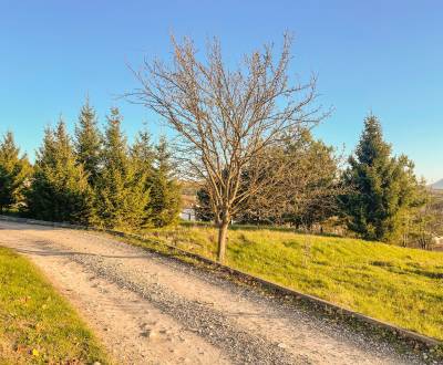 Sale Land – for living, Land – for living, Považská Bystrica, Slovakia