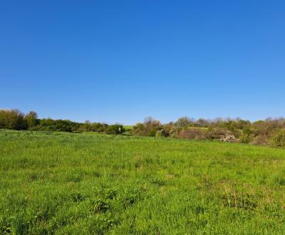 Sale Recreational land, Recreational land, Dolné Žemberovce, Levice, S