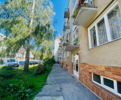 Rent One bedroom apartment, One bedroom apartment, Royova, Piešťany, S