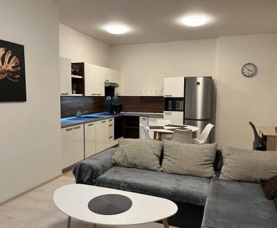 Rent One bedroom apartment, One bedroom apartment, Štefánikova, Košice