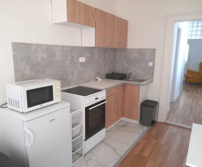 Rent One bedroom apartment, One bedroom apartment, Ľadová, Bratislava 