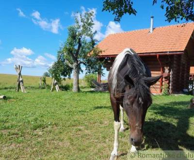 Sale Cottage, Cottage, Krupina, Slovakia