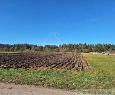 Sale Agrarian and forest land, Agrarian and forest land, Liptovský Mik