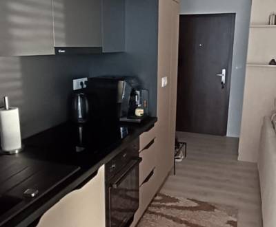 Rent One bedroom apartment, One bedroom apartment, Karola Duchoňa, Gal