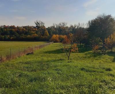 Sale Land – for living, Land – for living, Vranov nad Topľou, Slovakia