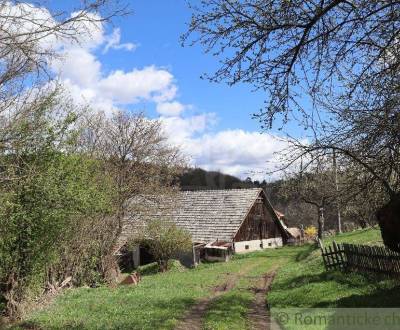 Sale Family house, Family house, Krupina, Slovakia