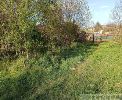 Sale Land – for living, Land – for living, Medzilaborce, Slovakia