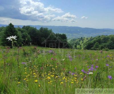 Sale Gardens, Gardens, Detva, Slovakia