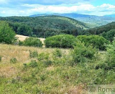 Sale Agrarian and forest land, Agrarian and forest land, Lučenec, Slov