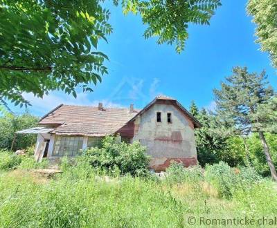 Sale Family house, Family house, Nové Zámky, Slovakia