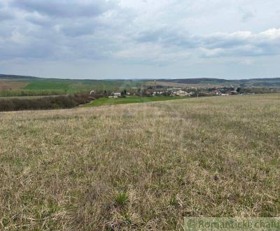 Sale Agrarian and forest land, Agrarian and forest land, Poltár, Slova