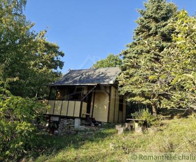 Sale Cottage, Cottage, Levice, Slovakia