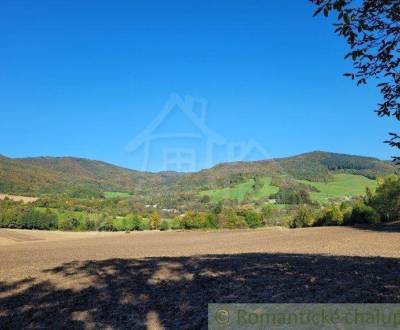 Sale Agrarian and forest land, Agrarian and forest land, Púchov, Slova